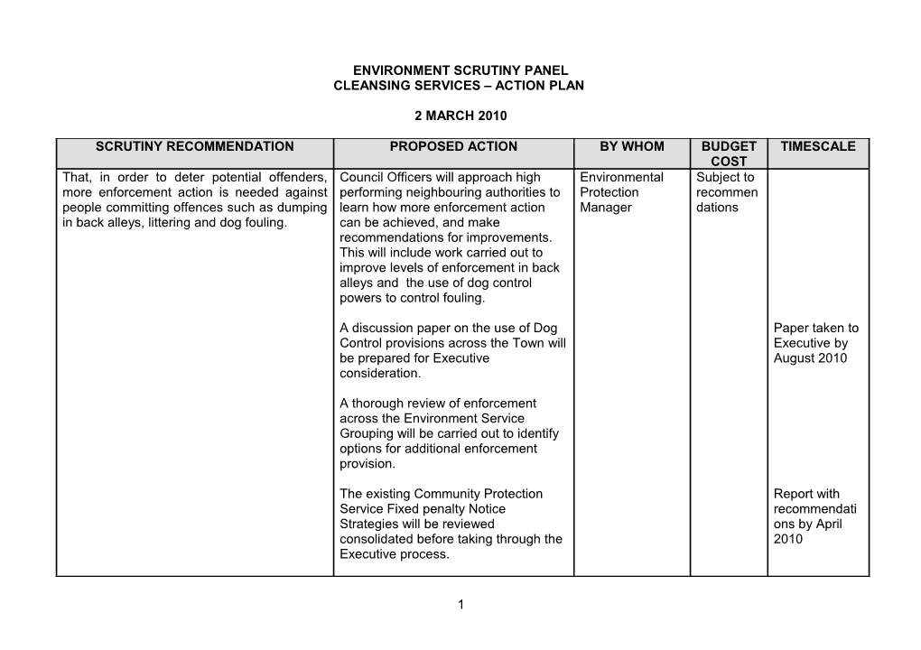 Title of Report Action Plan from Scrutiny Report on (Date)