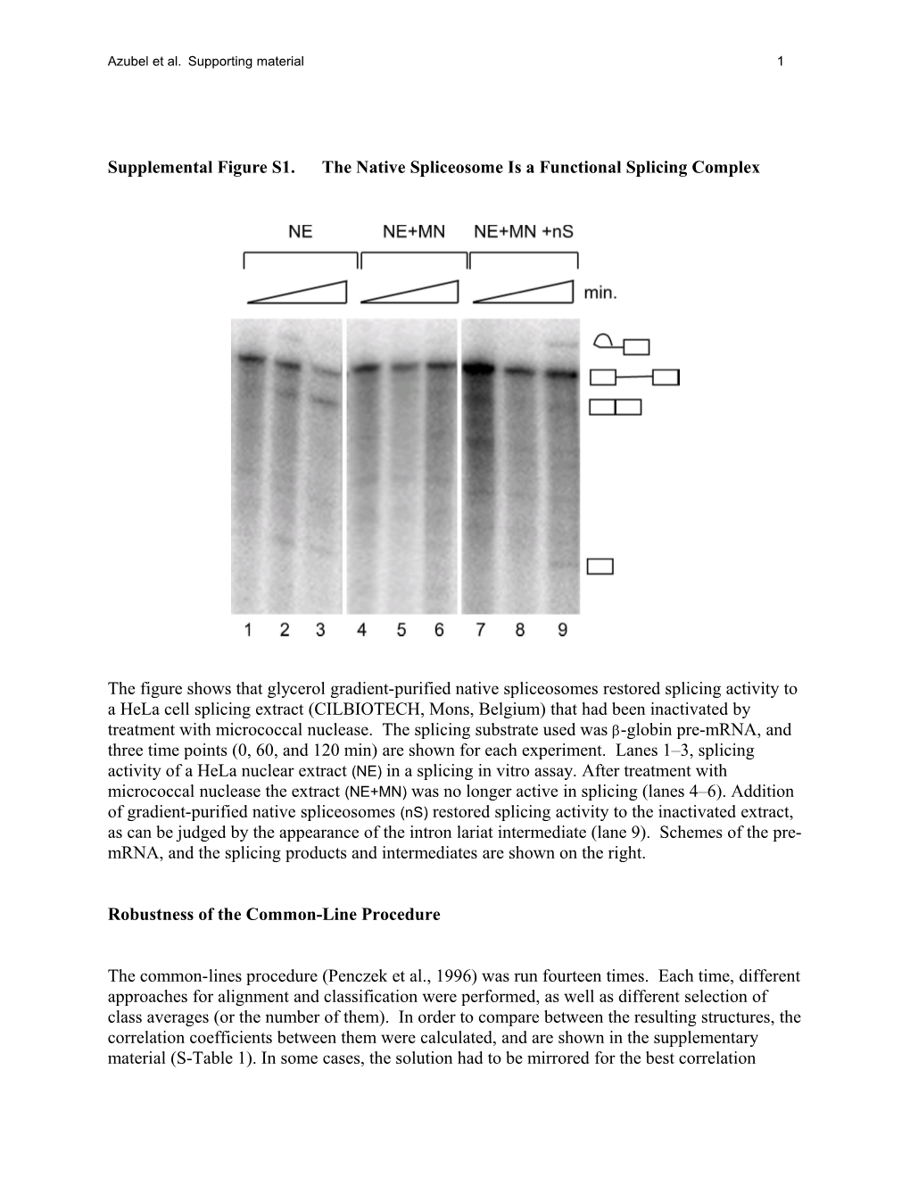 Supplemental Figure S1.The Native Spliceosome Is a Functional Splicing Complex