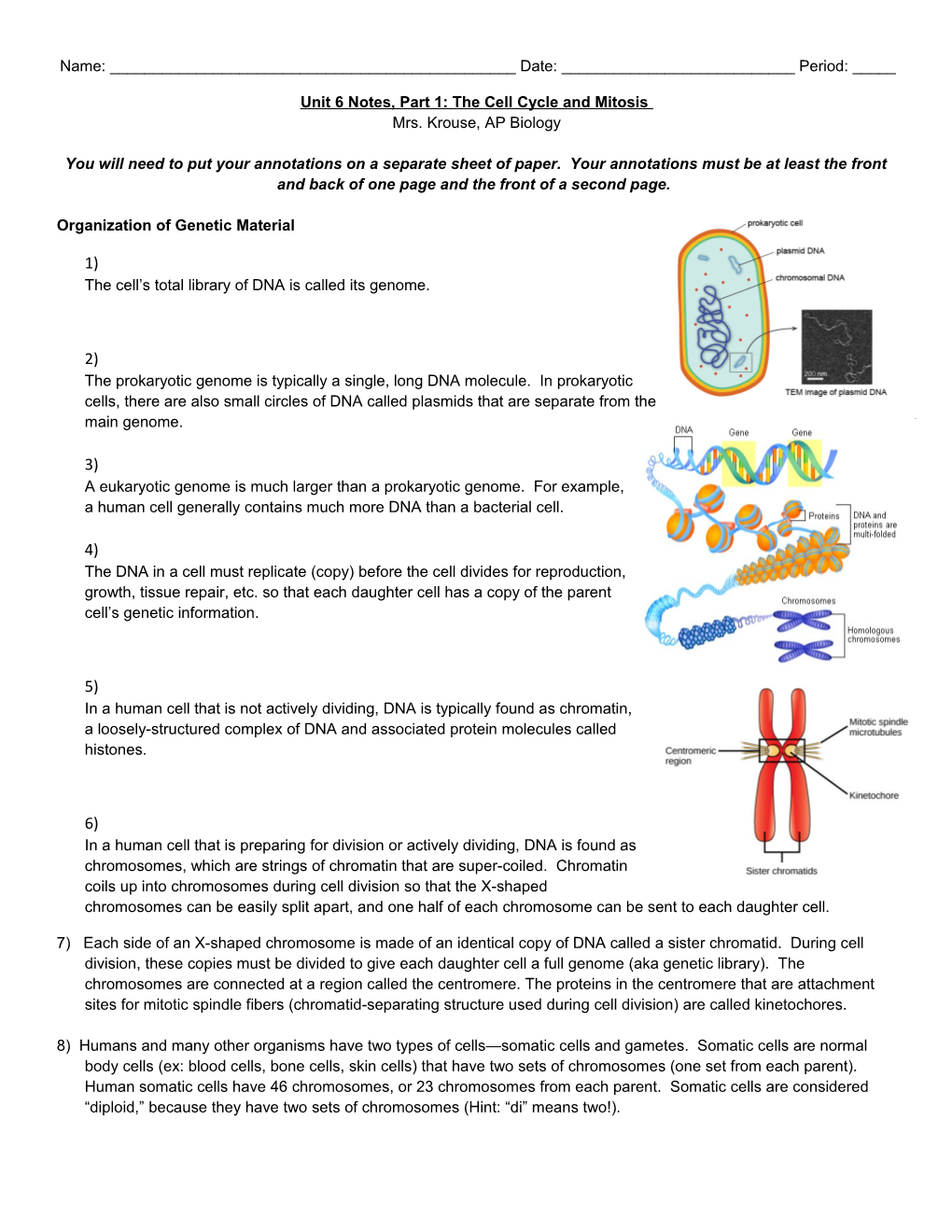 Unit 6 Notes, Part 1: the Cell Cycle and Mitosis
