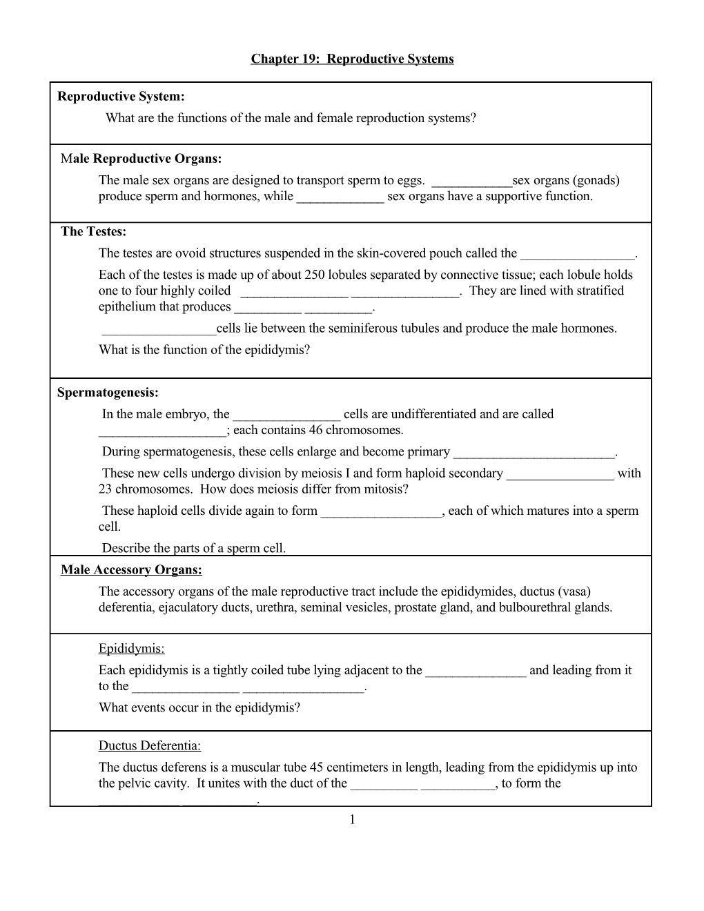 Chapter 19 - Reproductive Systems