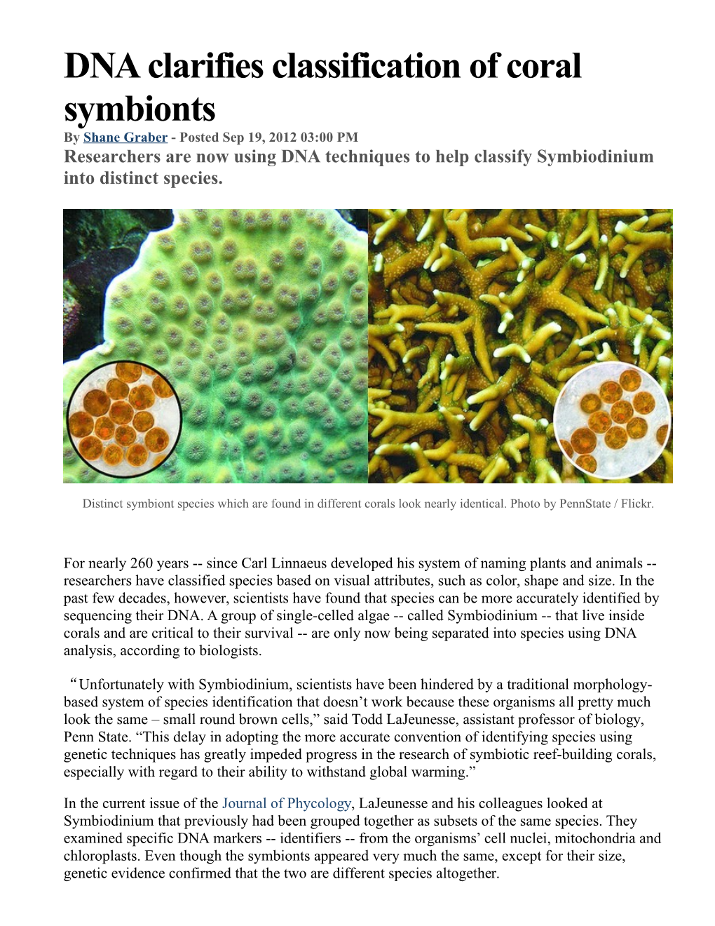 DNA Clarifies Classification of Coral Symbionts