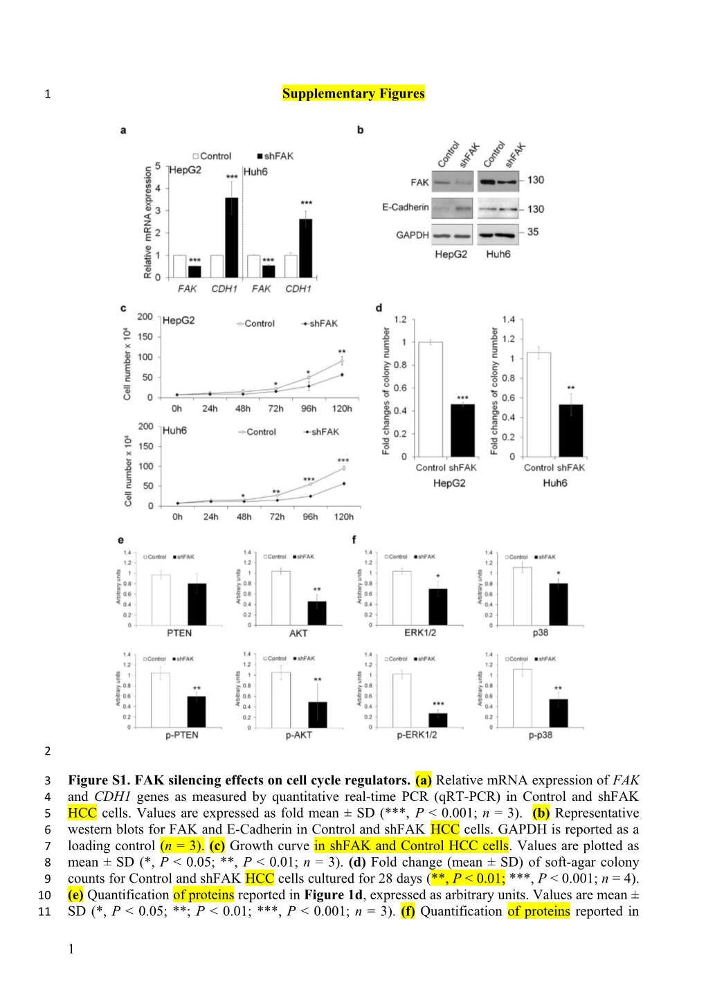 Figure S1. FAK Silencing Effects on Cell Cycle Regulators. (A) Relative Mrna Expression