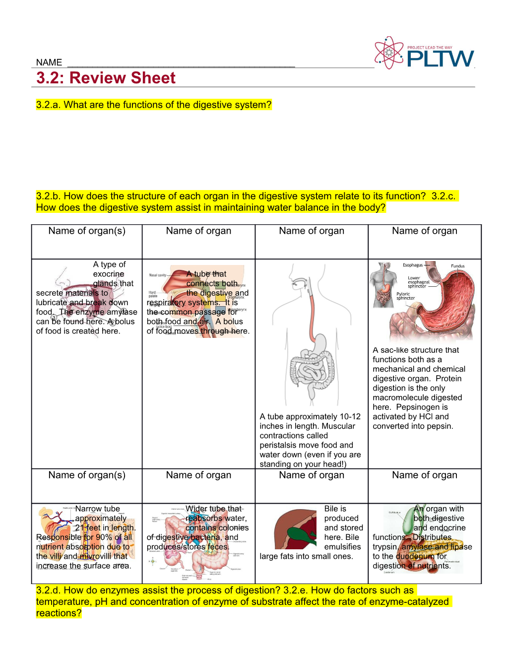 3.2.A. What Are the Functions of the Digestive System?