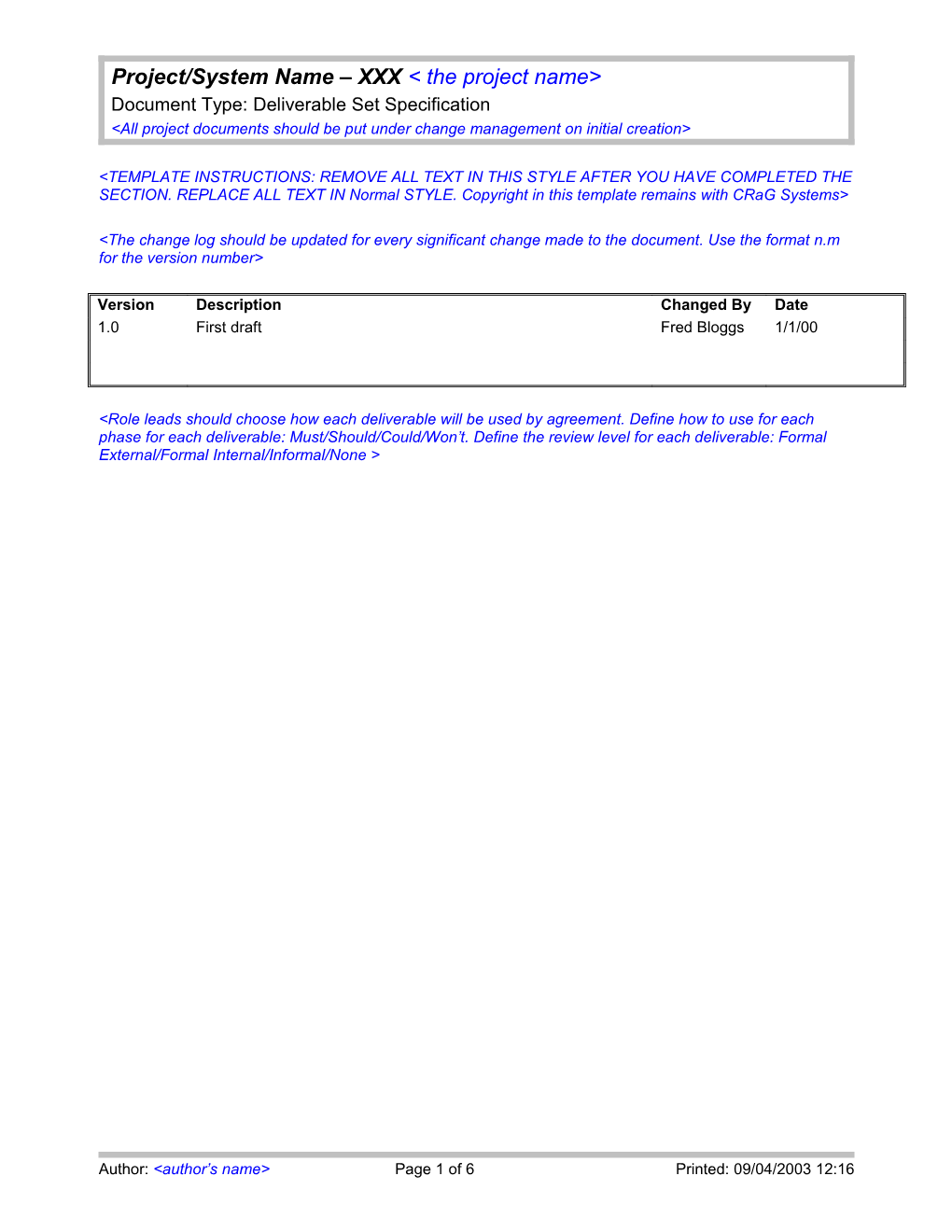 Project Summary Document Template