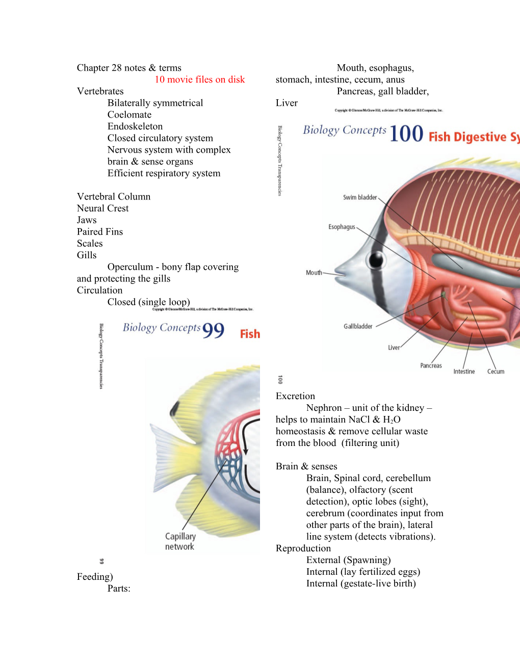 Chapter 33 Notes & Terms