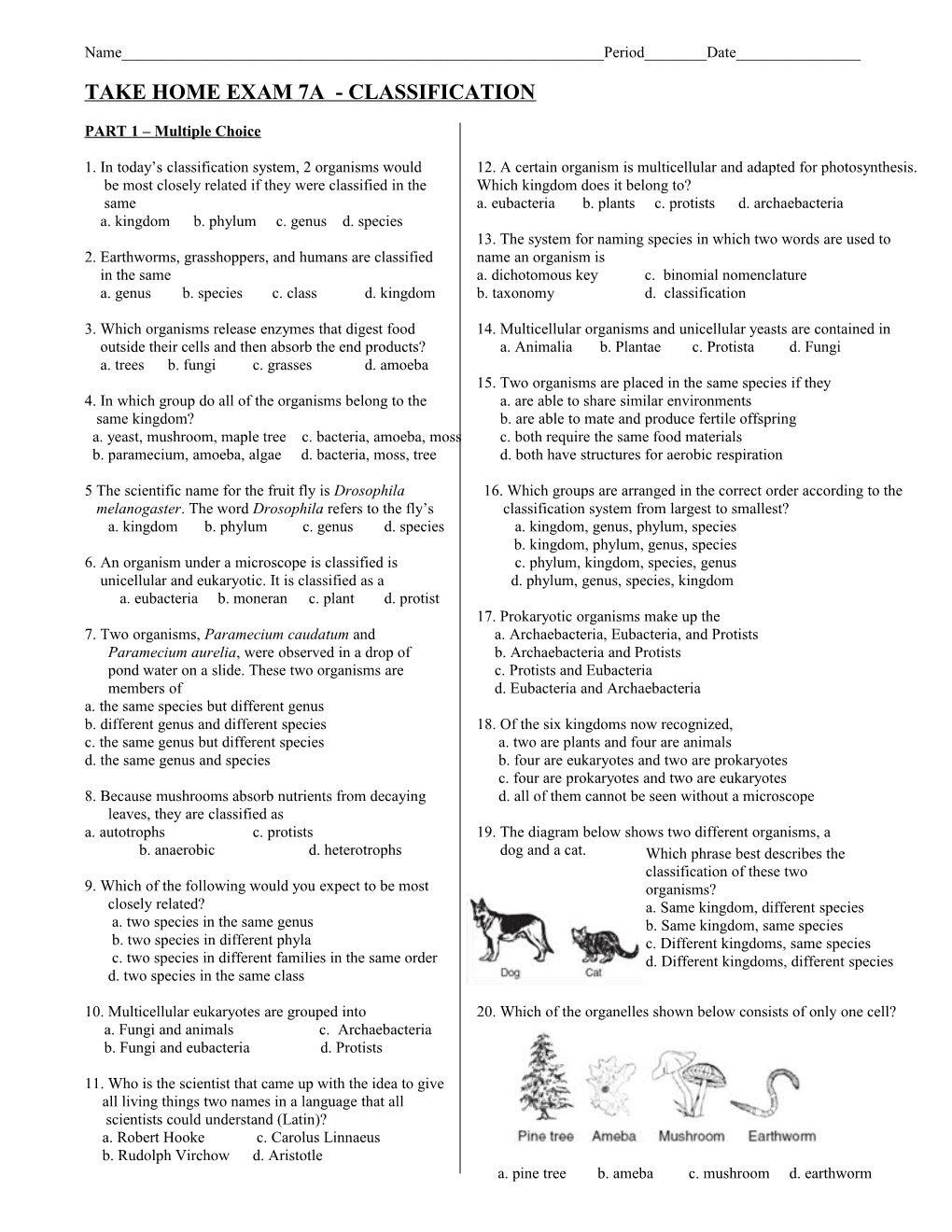 Take Home Exam 7A - Classification