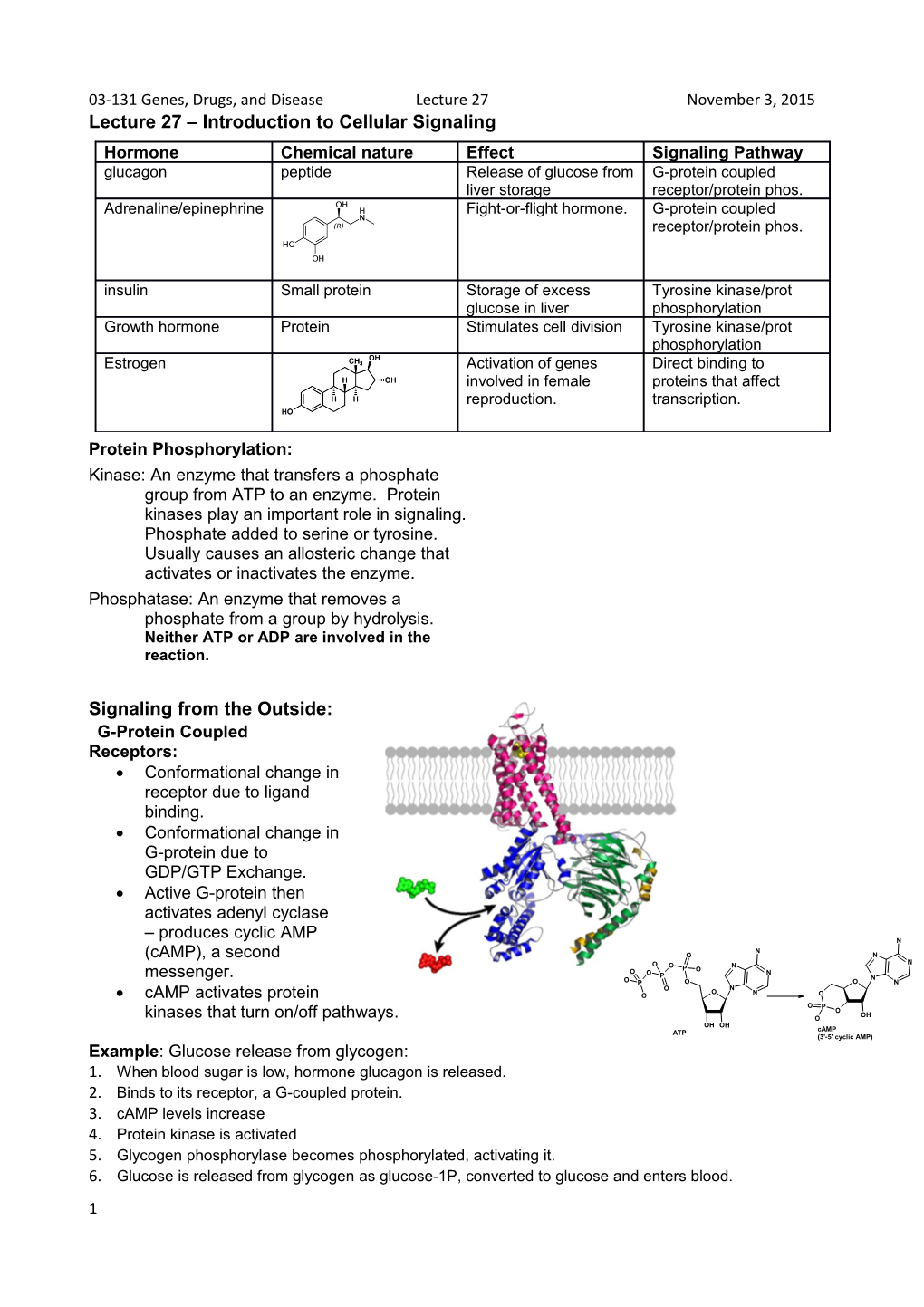 Lecture 27 Introduction to Cellular Signaling