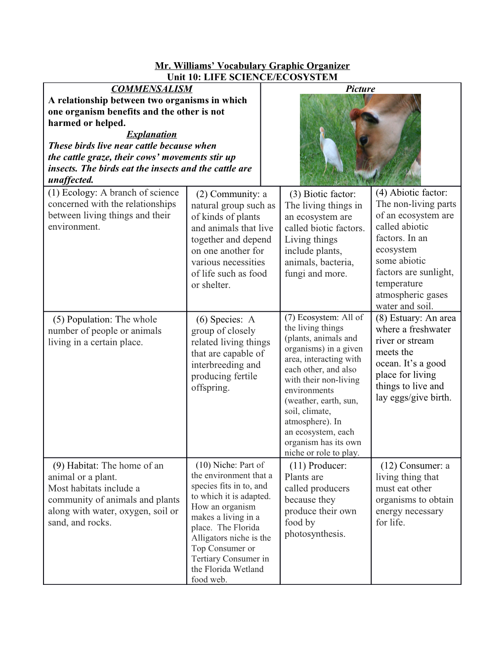 Mr. Williams Vocabulary Graphic Organizer