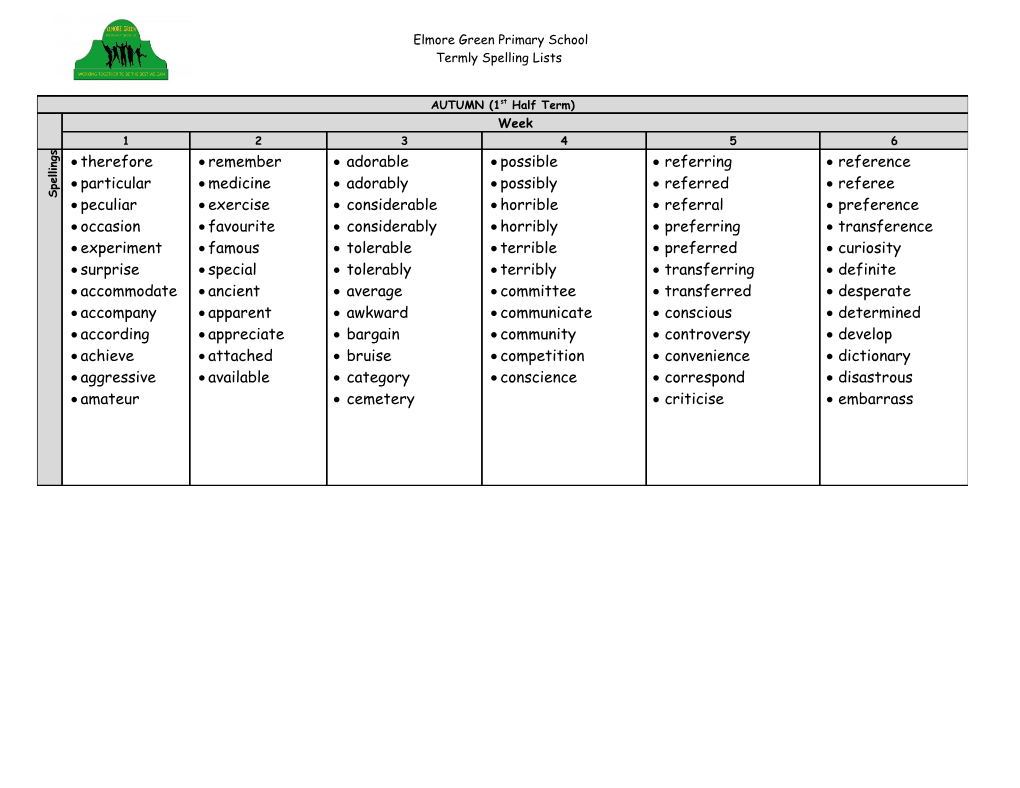 Year 1 Literacy MTP