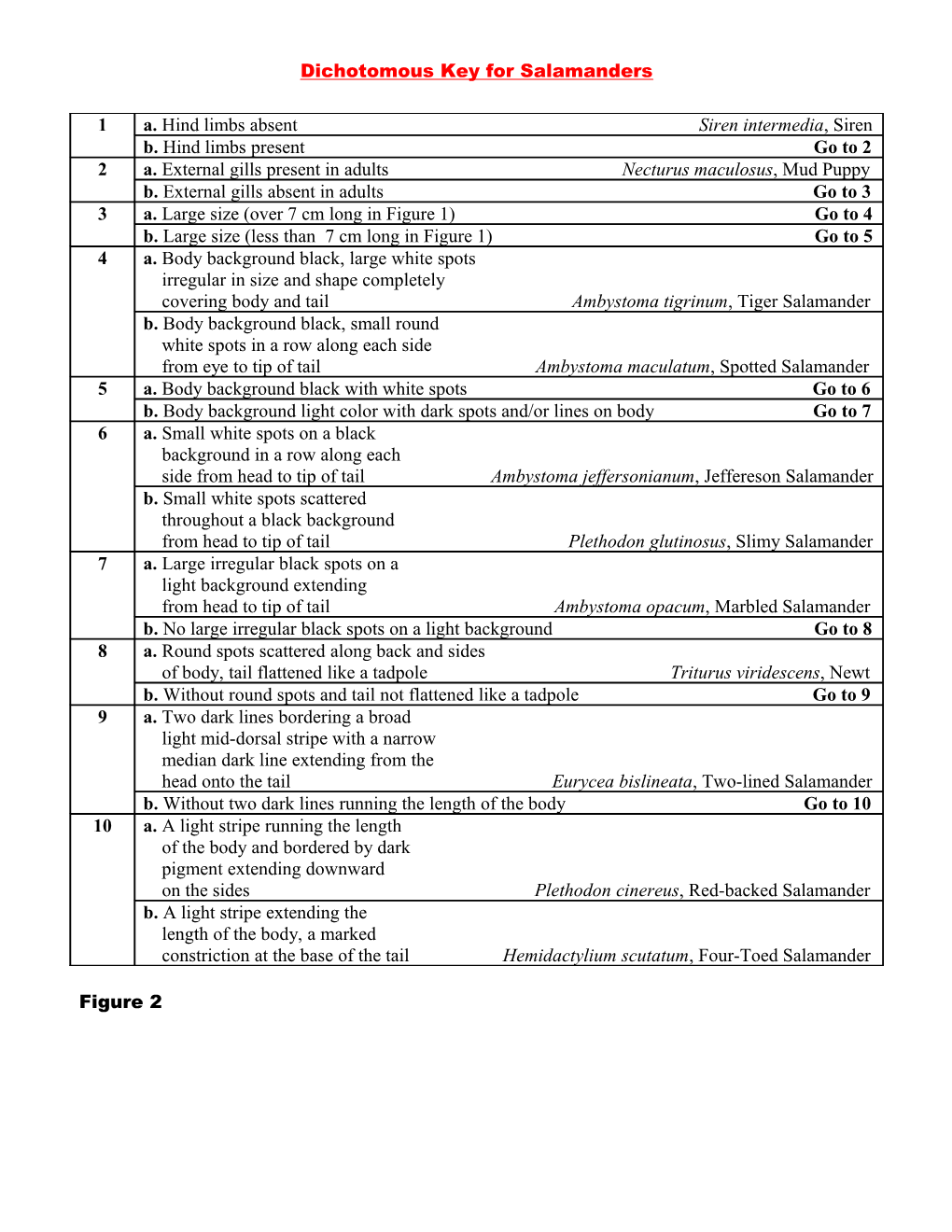 Dichotomous Key for Salamanders