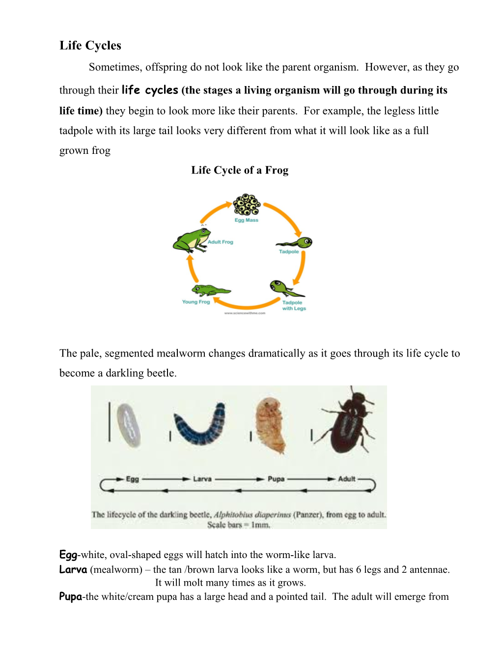 Sometimes, Offspring Do Not Look Like the Parent Organism. However, As They Go Through