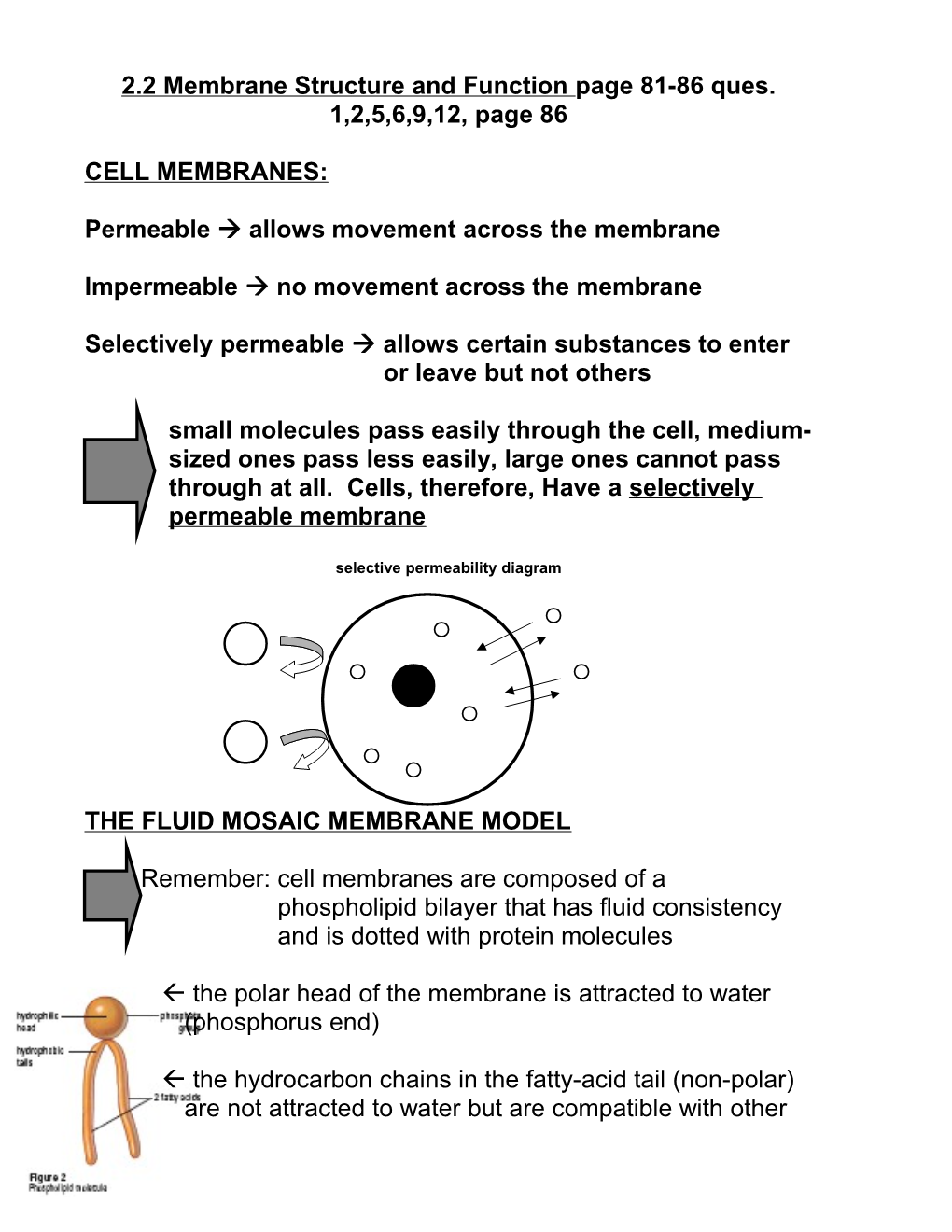 How Cells Move Materials in and Out s1