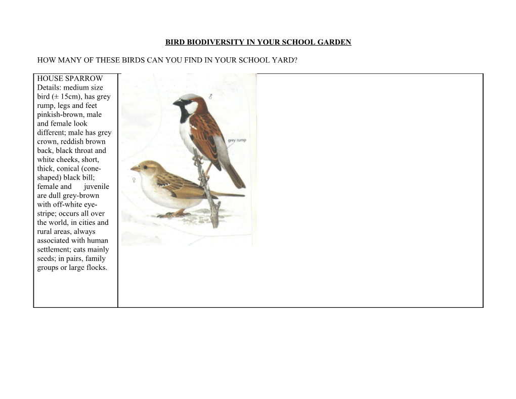 Bird Biodiversity in Your School Garden