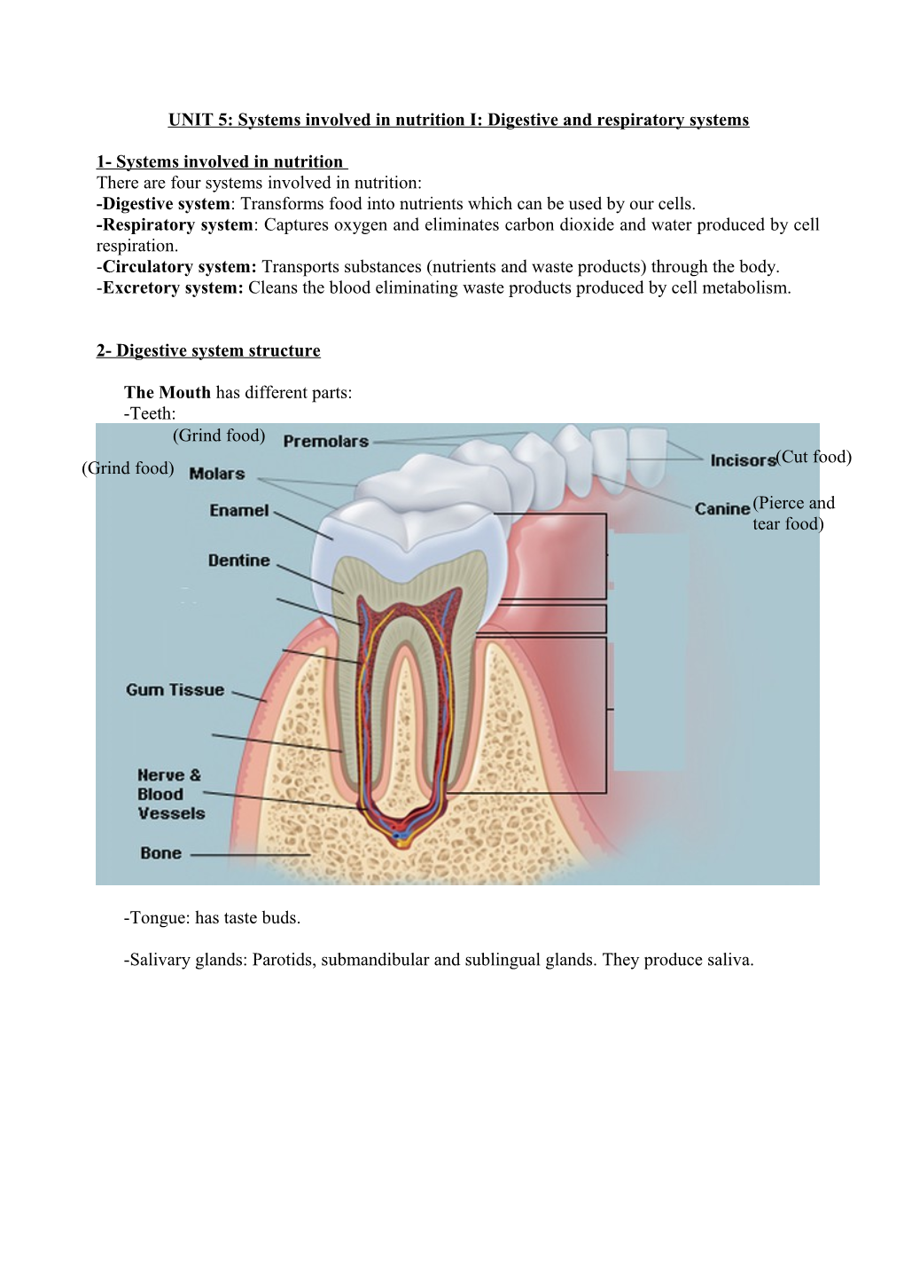 UNIT 2: Internal Geological Agents