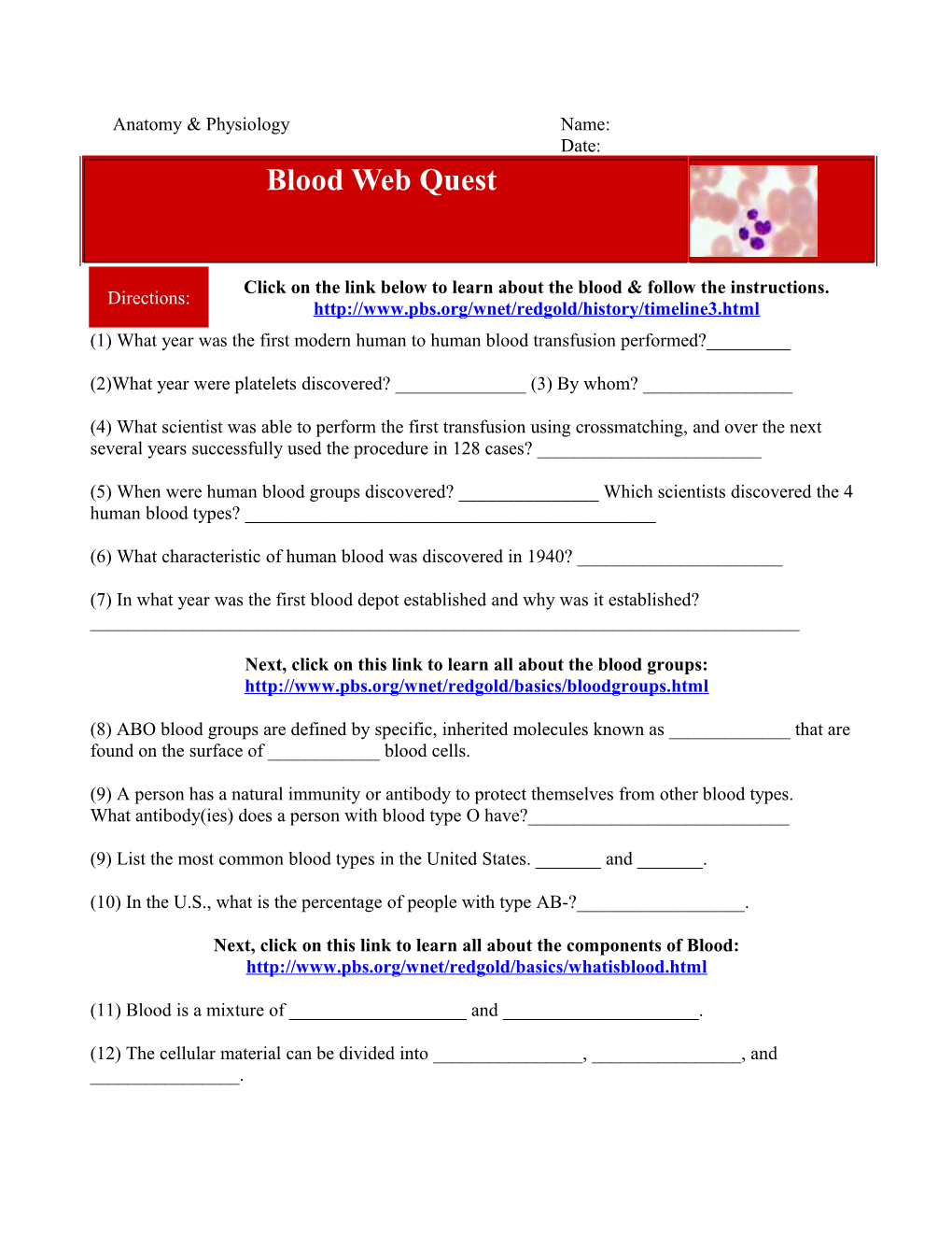 Physiology: Blood Web Quest