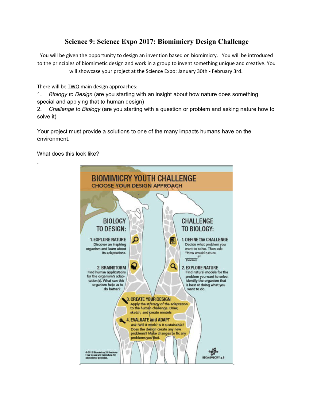 Science 9: Science Expo 2017: Biomimicry Design Challenge