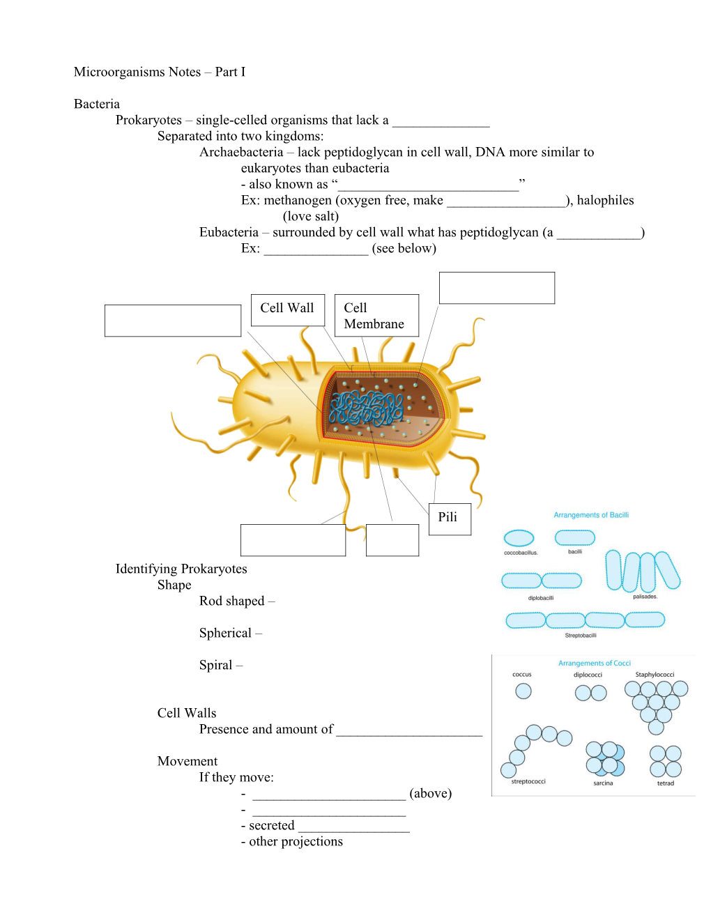 Microorganisms Notes Part I