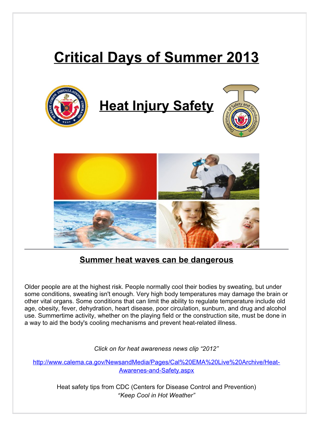 Critical Days of Summer 2013