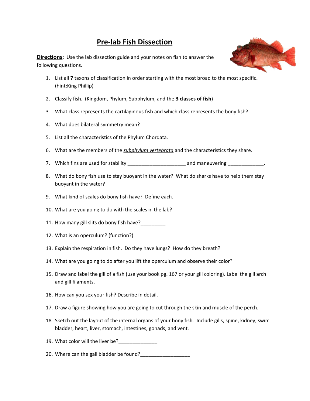 2. Classify Fish. (Kingdom, Phylum, Subphylum, and the 3 Classes of Fish )