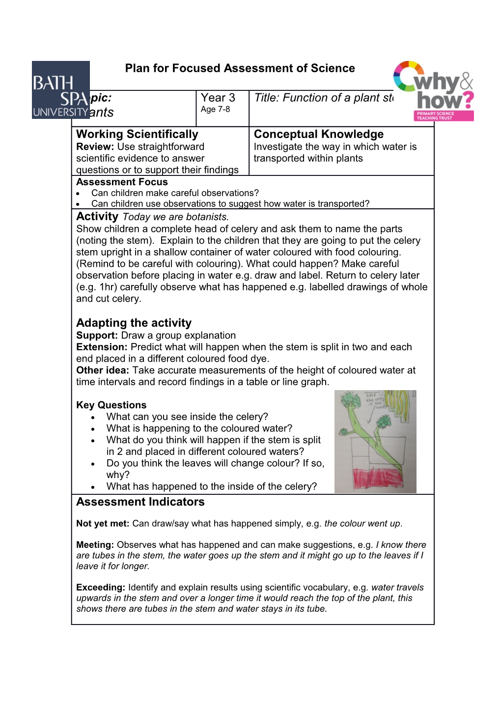 Planning Sheet for Focused Science Assessment Task s1