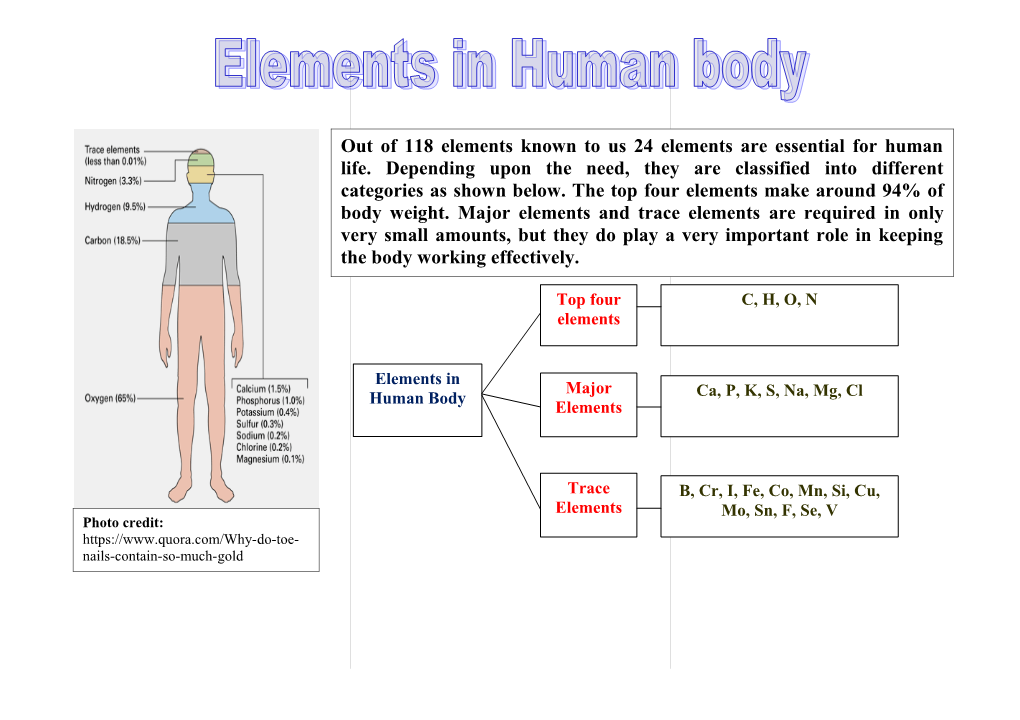Elements in the Human Body