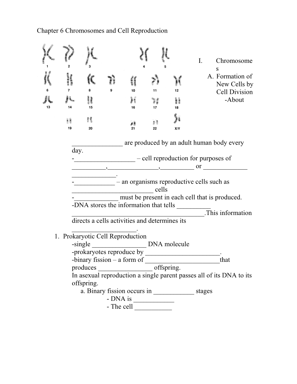 Chapter 6 Chromosomes and Cell Reproduction