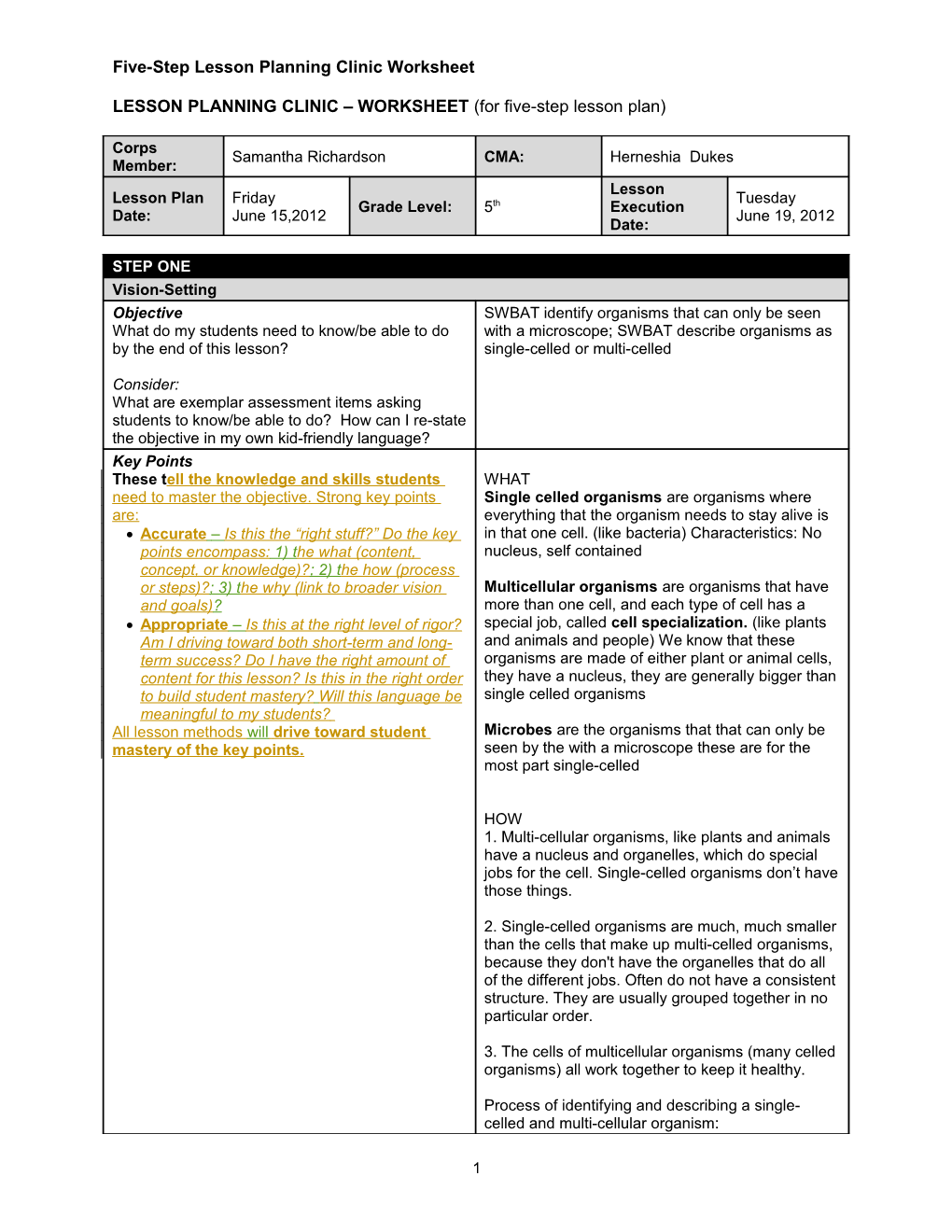 LESSON PLANNING CLINIC WORKSHEET (For Five-Step Lesson Plan)