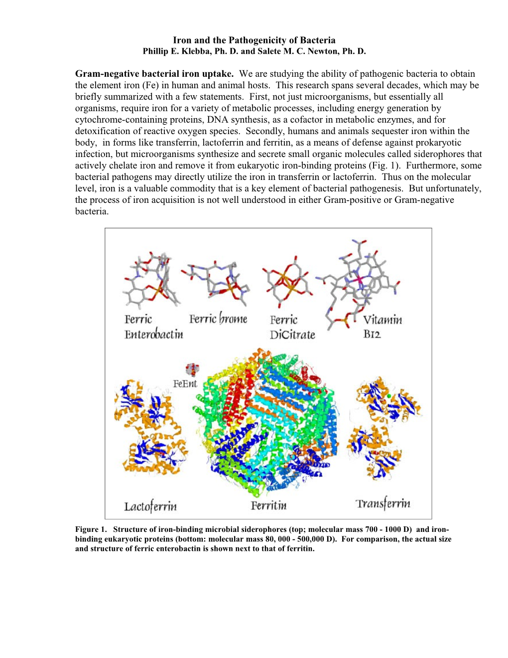 Iron and the Pathogenicity of Bacteria