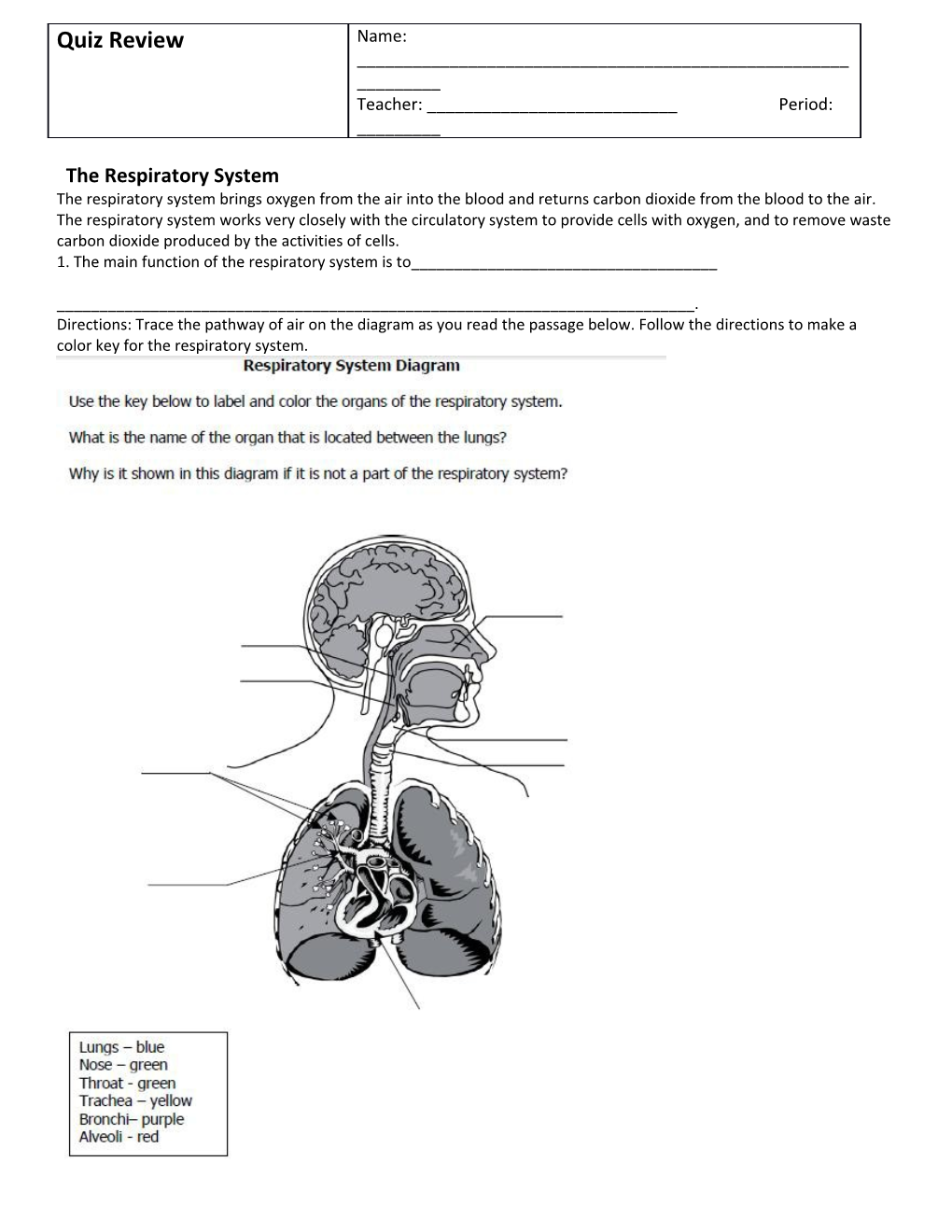 1. the Main Function of the Respiratory System Is To______