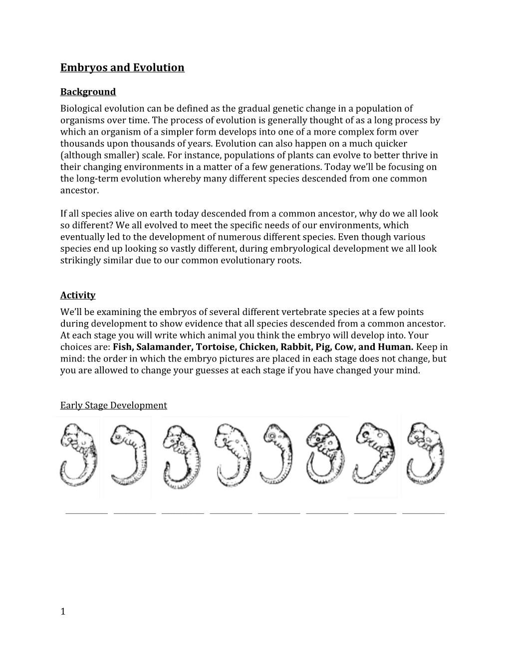 Embryos and Evolution