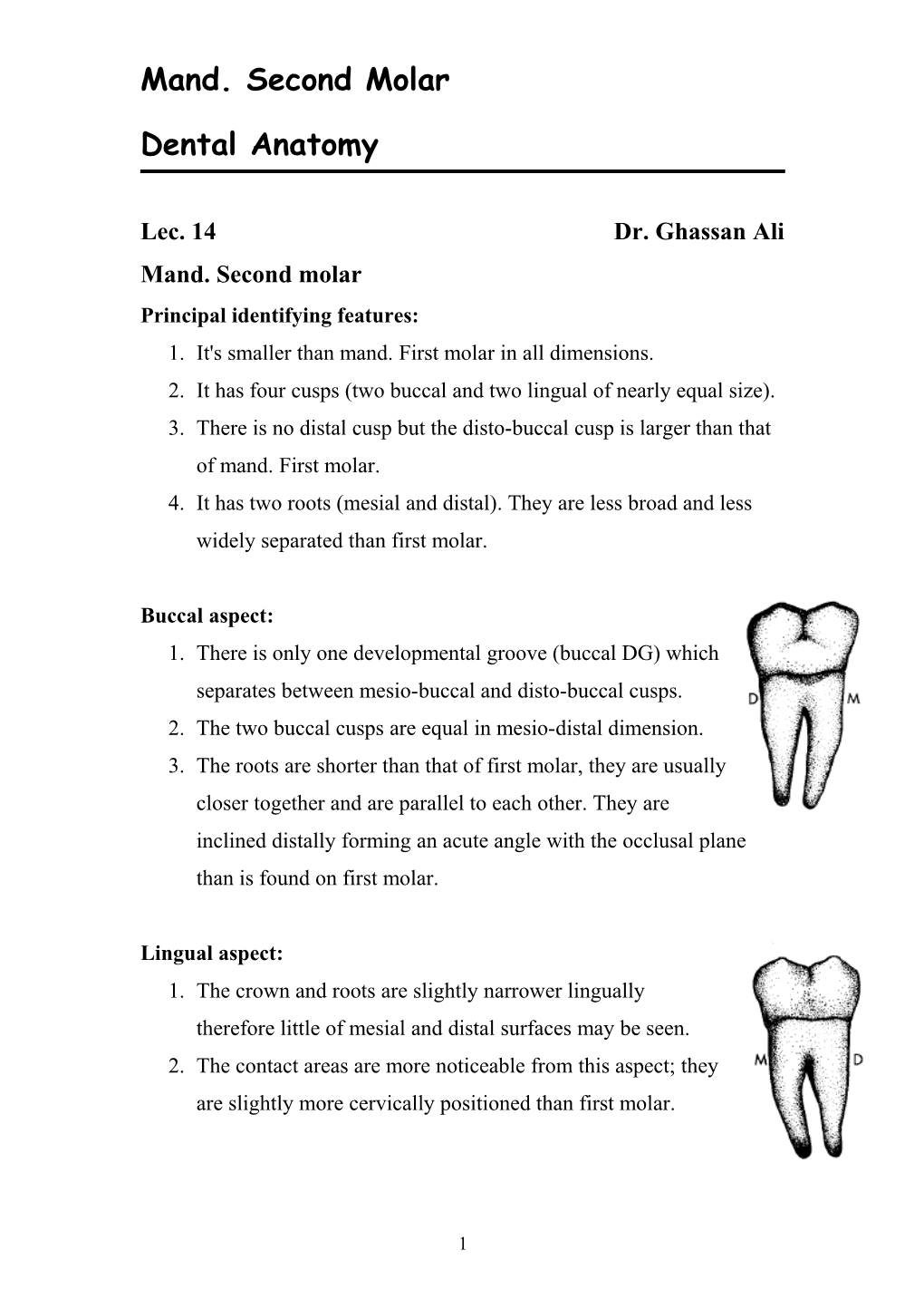 Mand. Second Molar Dental Anatomy