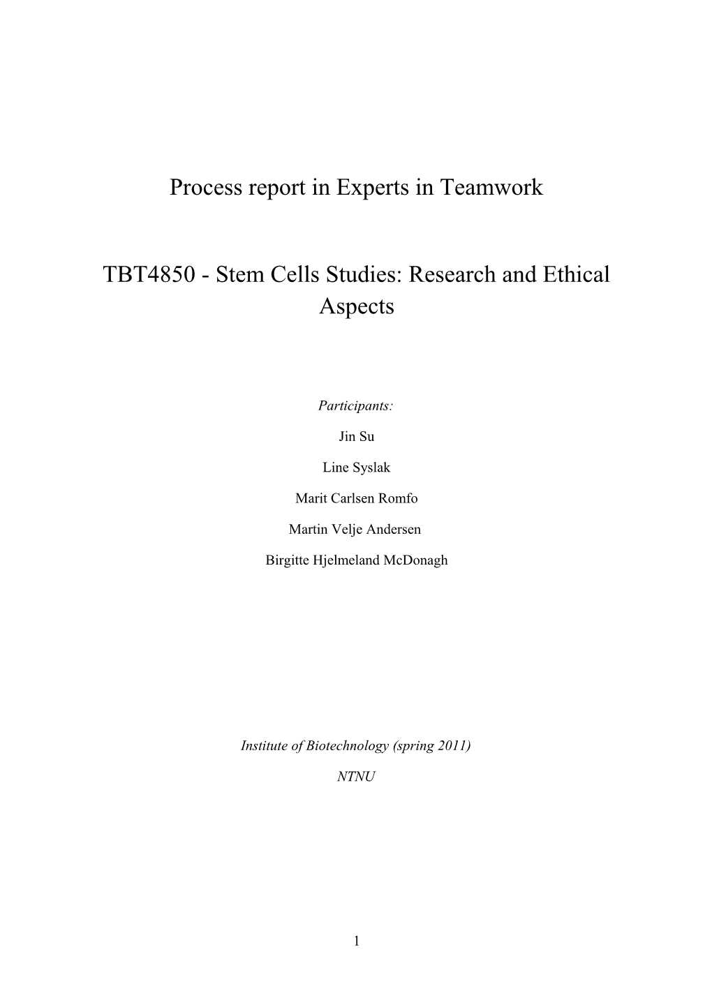 Process Report in Experts in Teamwork