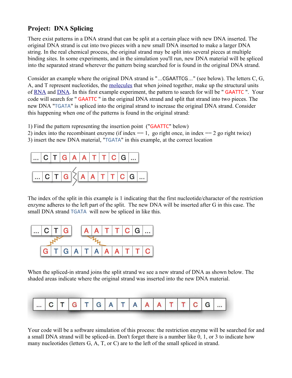 Project: DNA Splicing