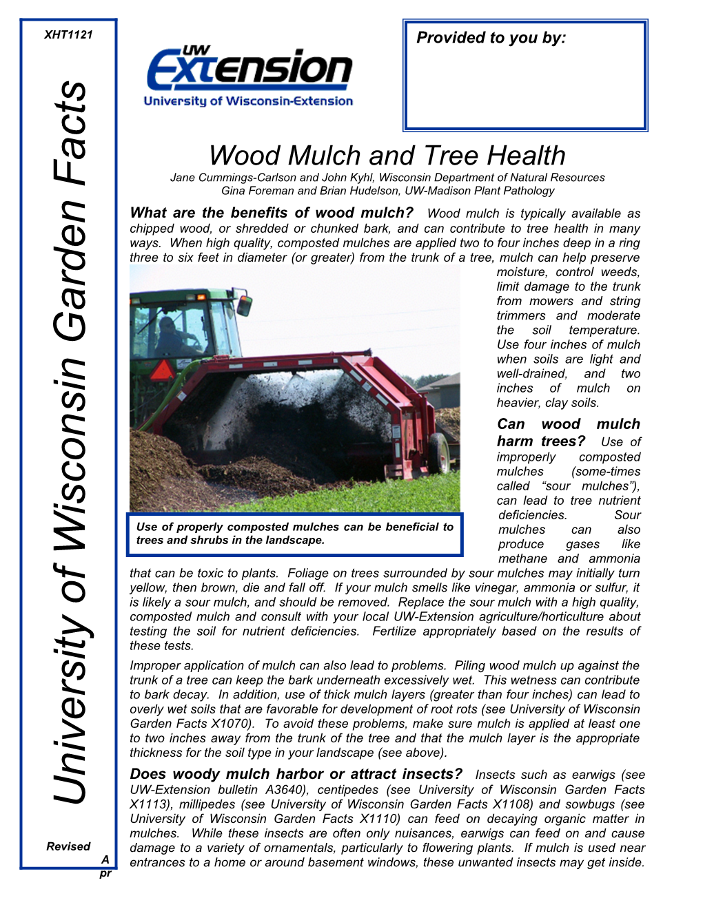Wood Mulch and Tree Health
