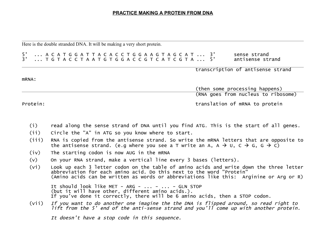Practice Making a Protein from Dna