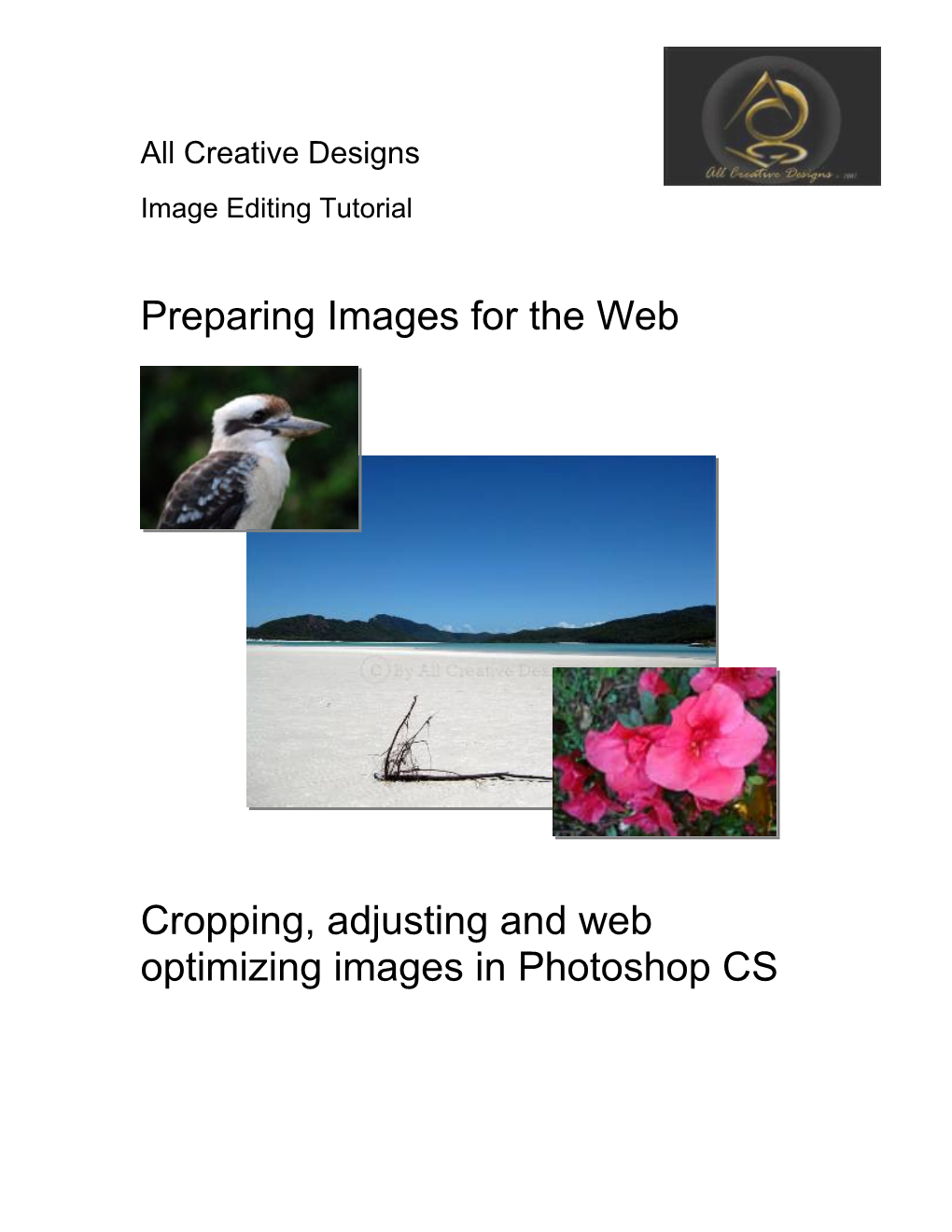 Preparing Images for the Web