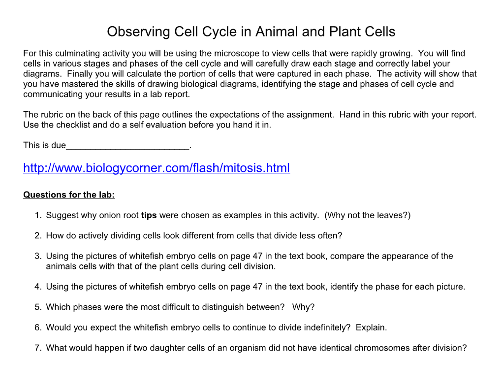 Observing Cell Cycle in Onion Cells