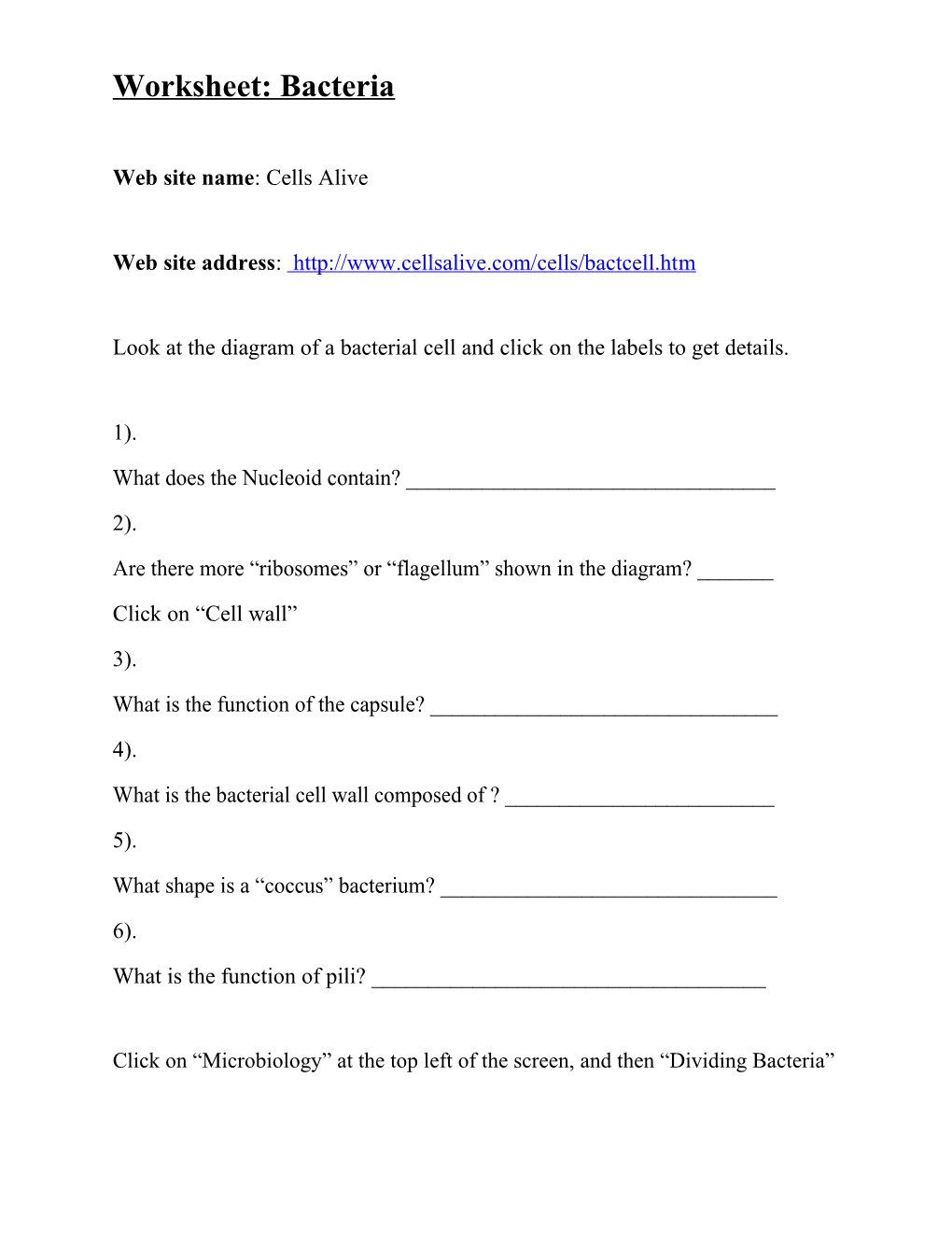 Worksheet: Bacteria