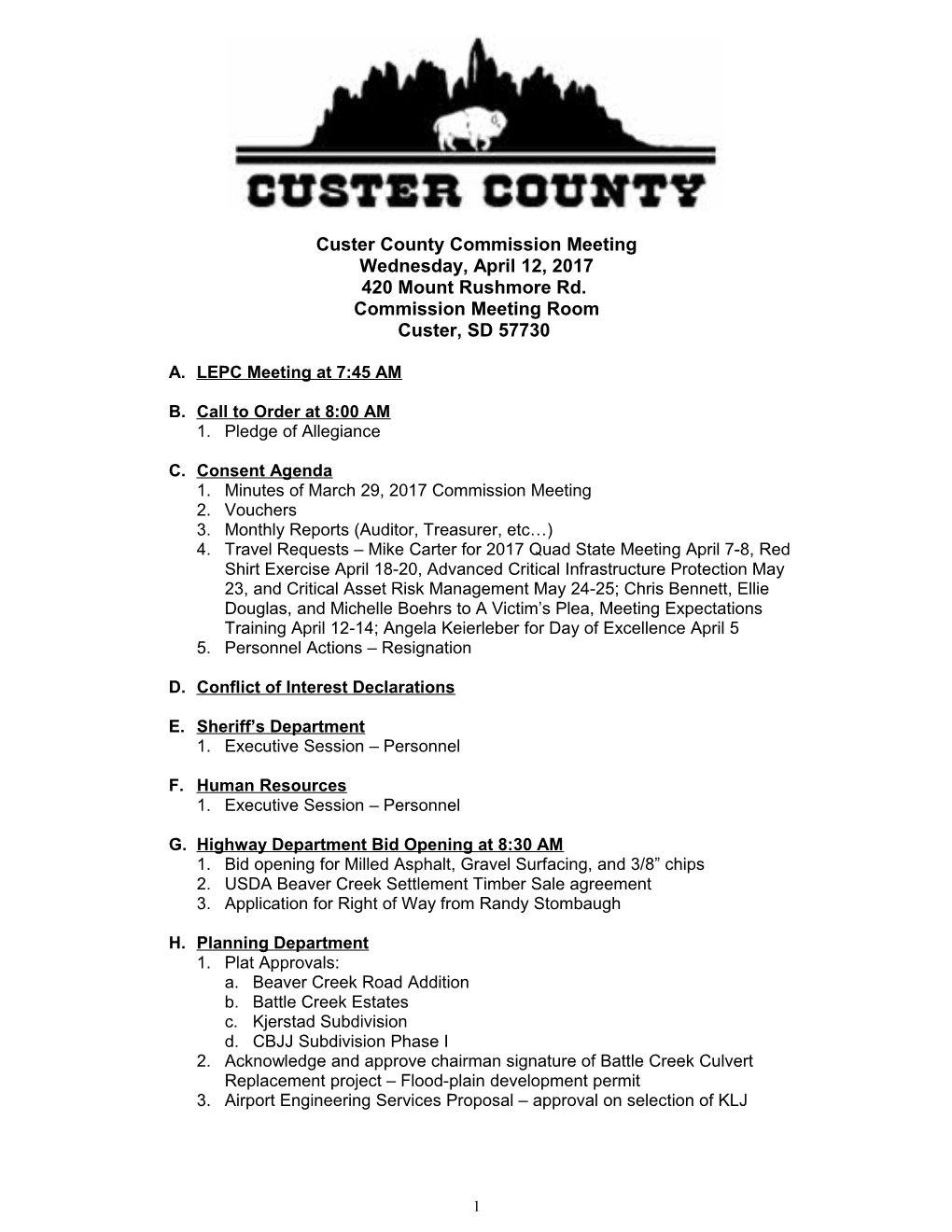 Custer County Auditor