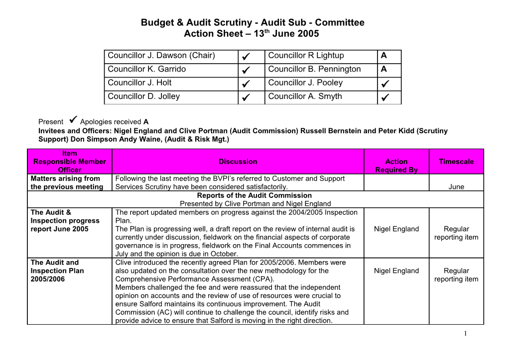 Budget & Audit Scrutiny - Audit Sub - Committee