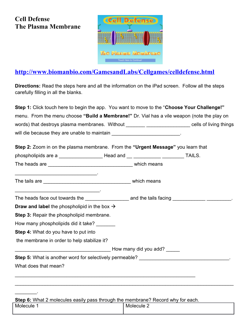 The Plasma Membrane