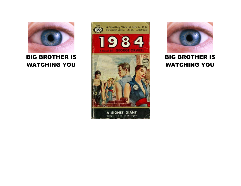 Big Brother Is Watching You