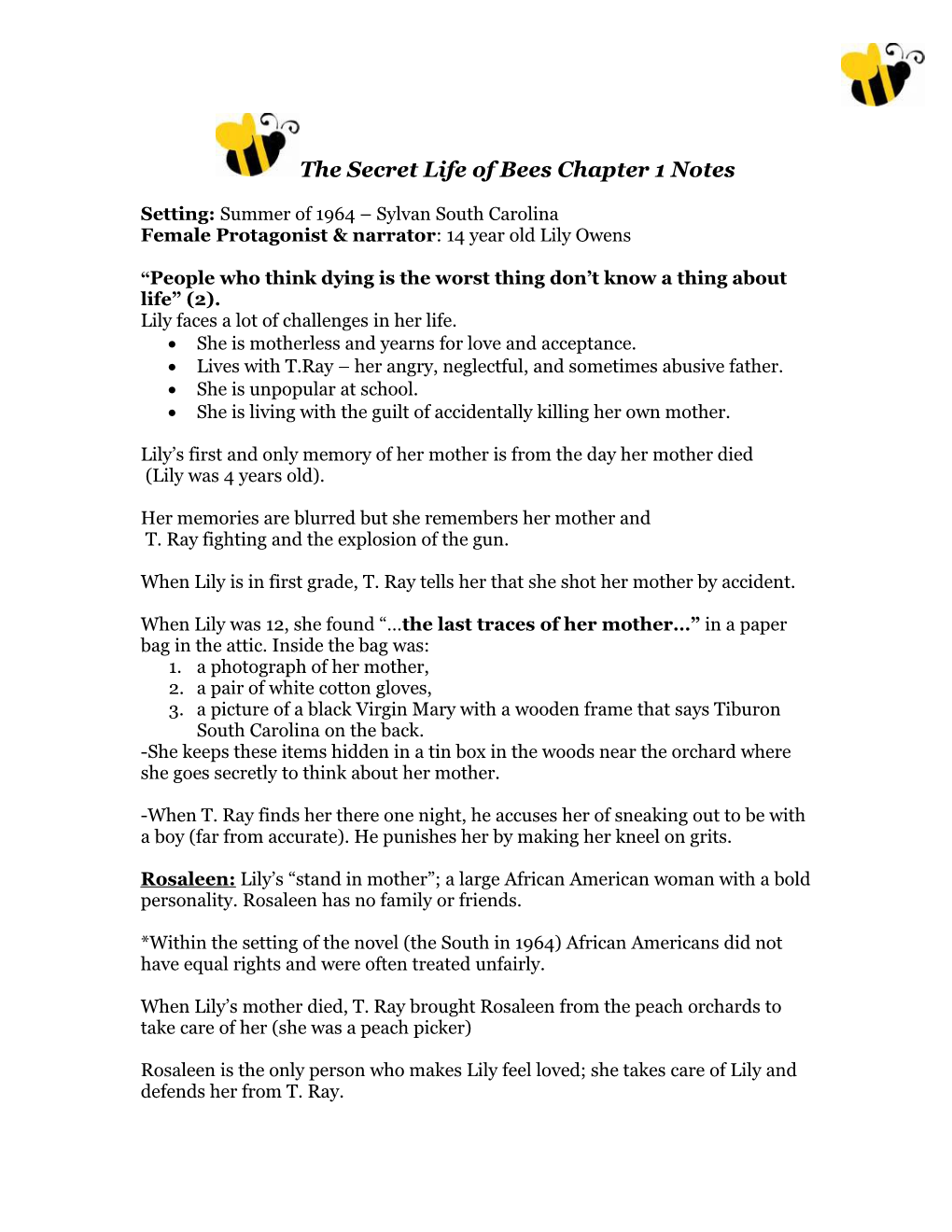 The Secret Life of Bees Chapter 1 Notes