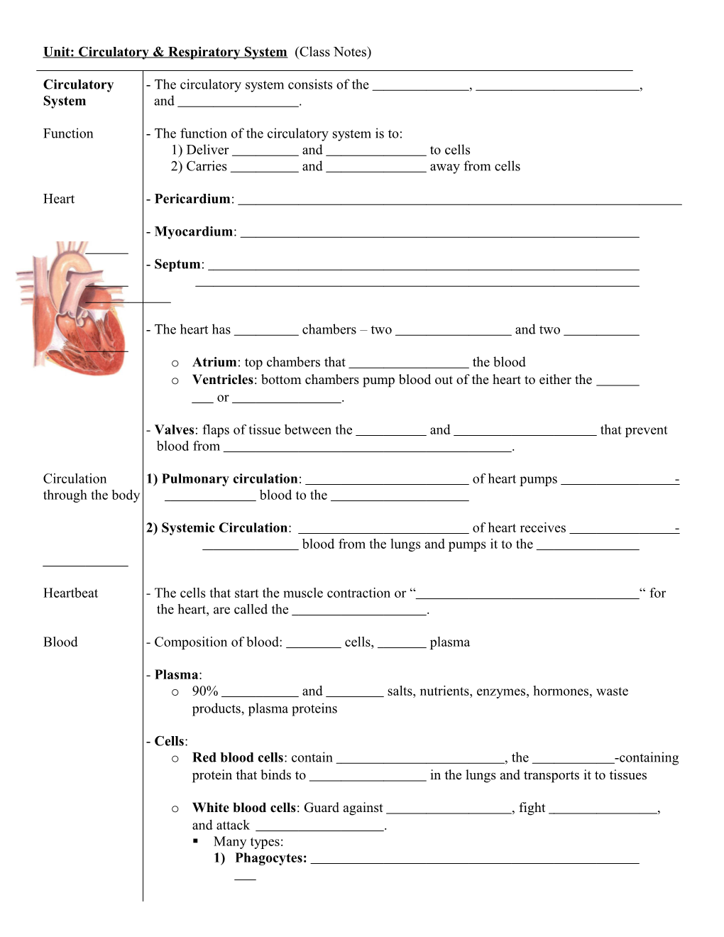 Unit: Circulatory System (Class Notes)