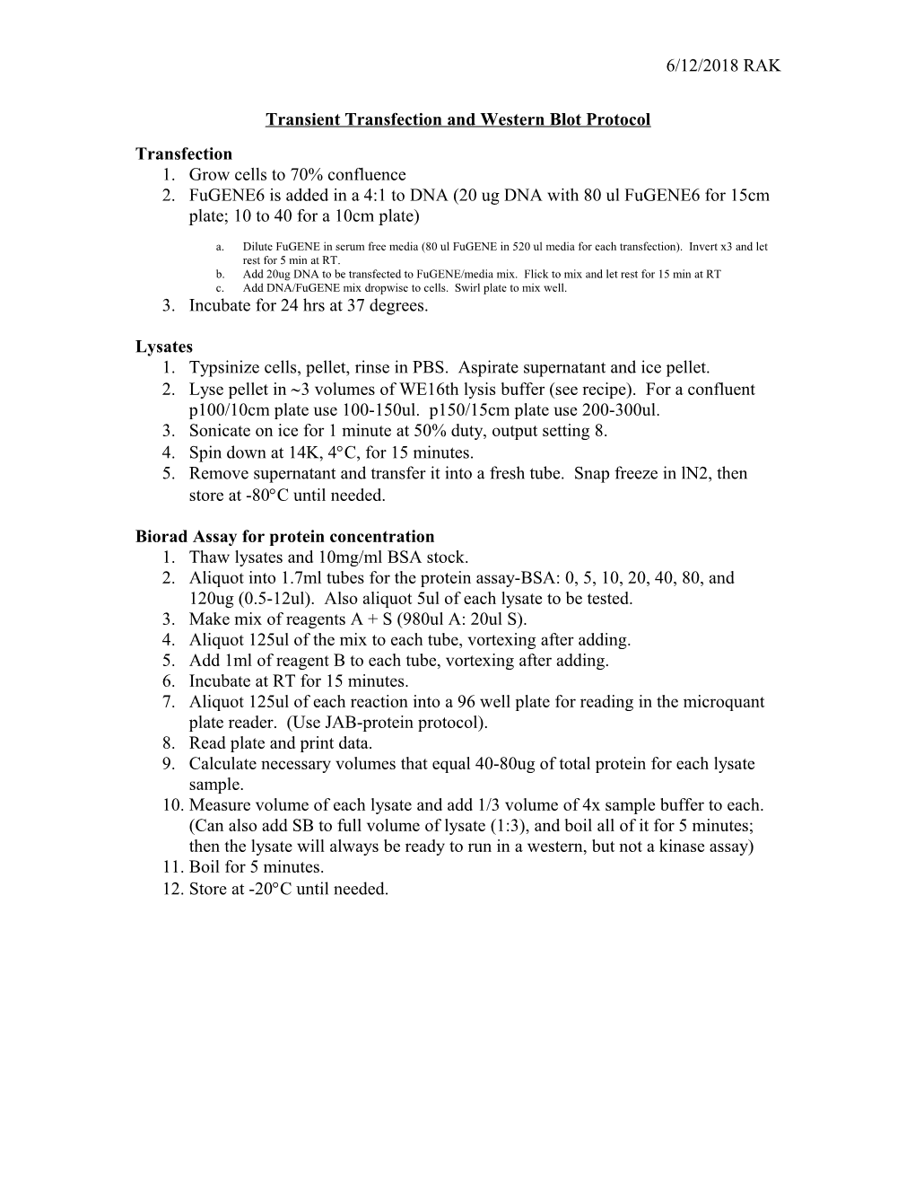 Transient Transfection and Western Blot Protocol