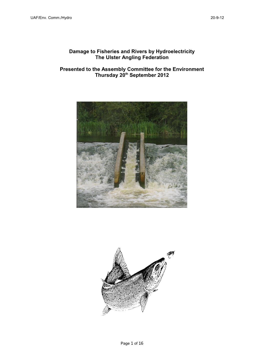 Damage to Fisheries and Rivers by Hydroelectricity