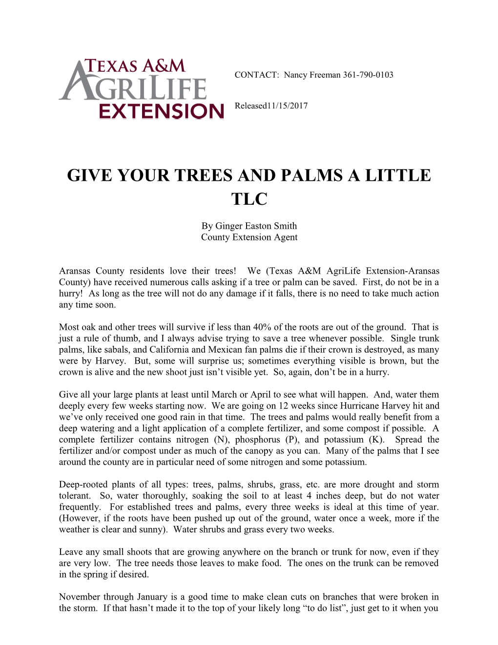 Give Your Trees and Palms a Little Tlc