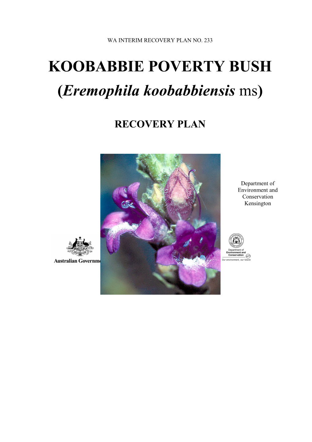 Koobabbie Poverty Bush (Eremophila Koobabbiensis Ms), Interim Recovery Plan 2007-2012