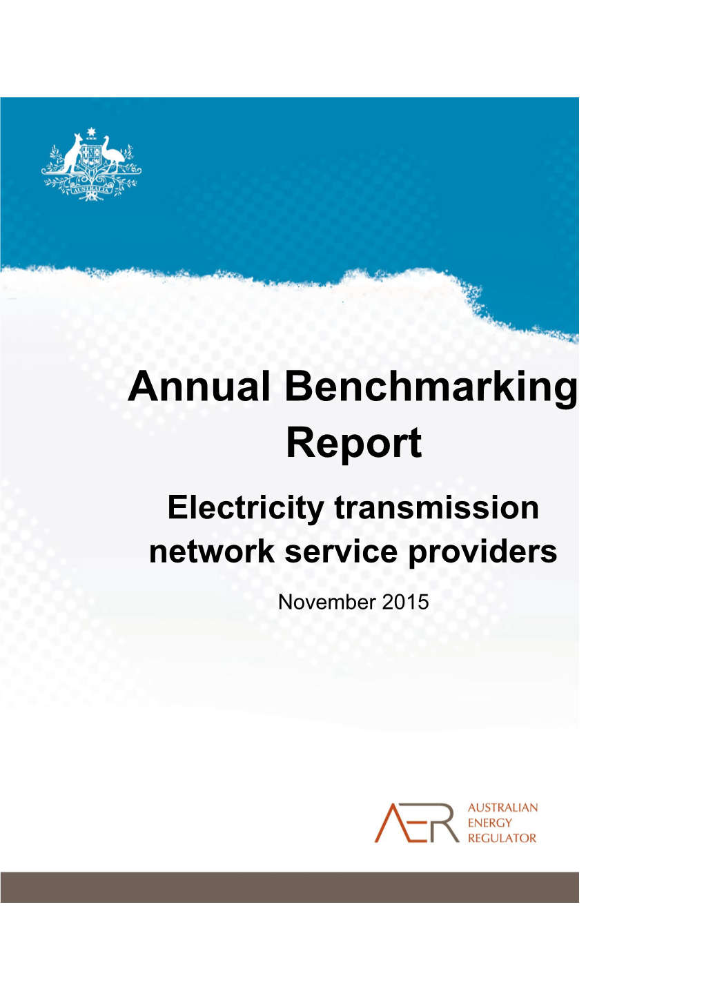 Electricity Transmission Network Service Providers