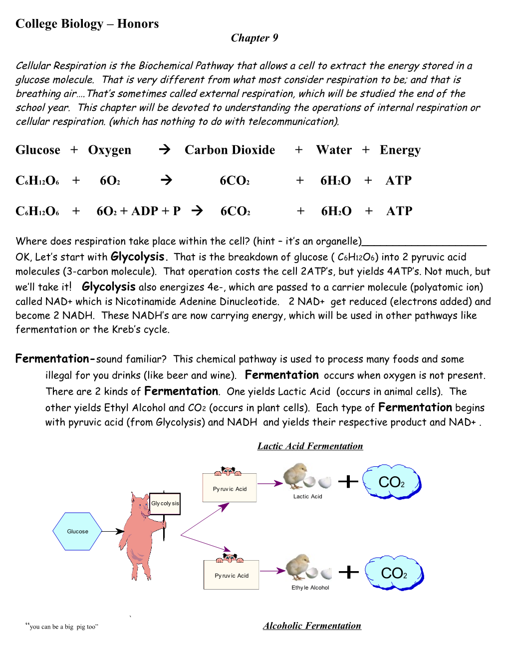 College Biology Honors